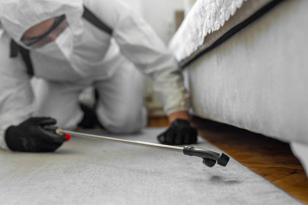 Professional Bed Bug Control technician working in Cornelius, OR