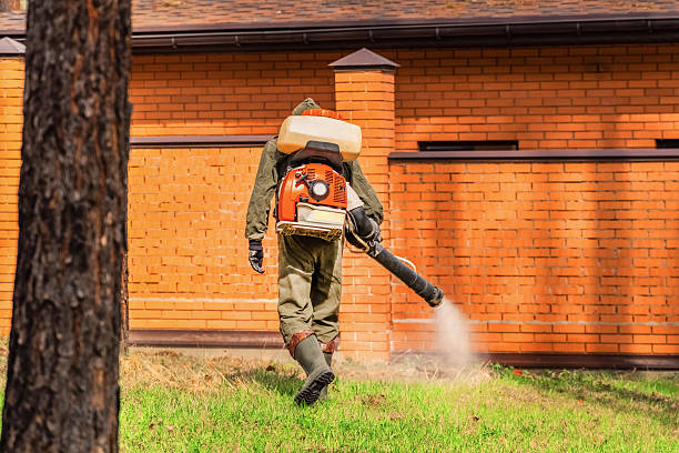 Trusted Bed Bug Control service in Cornelius, OR - Nex Pest Control
